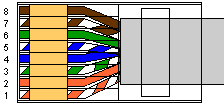 UTP en (S)FTP, aansluitschema: 568 B