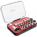 InLine mini ratchet set 23in1