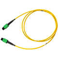 MTP Pro Trunk Cable OS2 12 vezels F-F methode B 5 meter