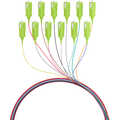 Set 12st Fiber pigtail SC 50/125Mu, OM5, 2 m