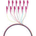 Set 12st Fiber pigtail LC 50/125Mu, OM4, 2 m