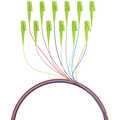 Set 12st Fiber pigtail LC 50/125Mu, OM5, 2m