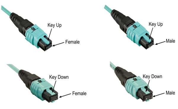 Naar omschrijving van OM3-MPO-8V-LC-2 - OM3 MPO 8v naar LC lengte 2m